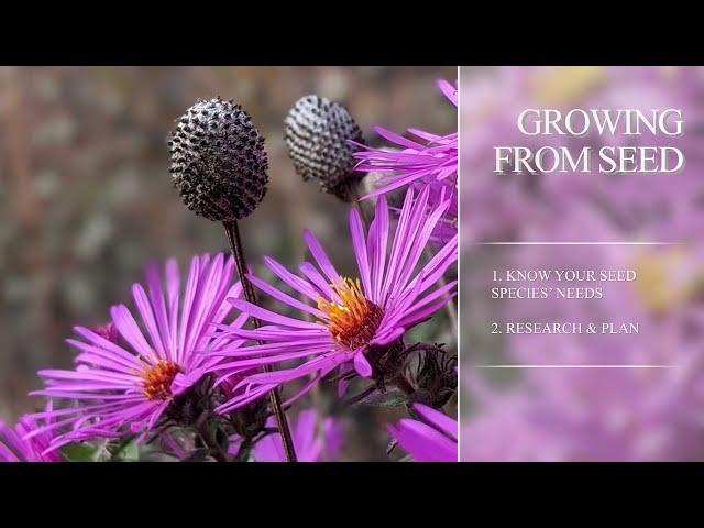 Seeding the Natural Meadow Garden