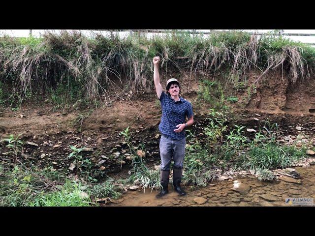 Riparian Restoration 101: Stream Restoration