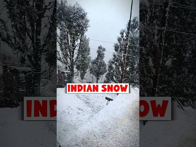 ️ Shocking Snow in India  | #foriegnlife #vlogs #indianvlogs