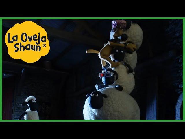 La Oveja Shaun  pila de ovejas  Dibujos animados para niños