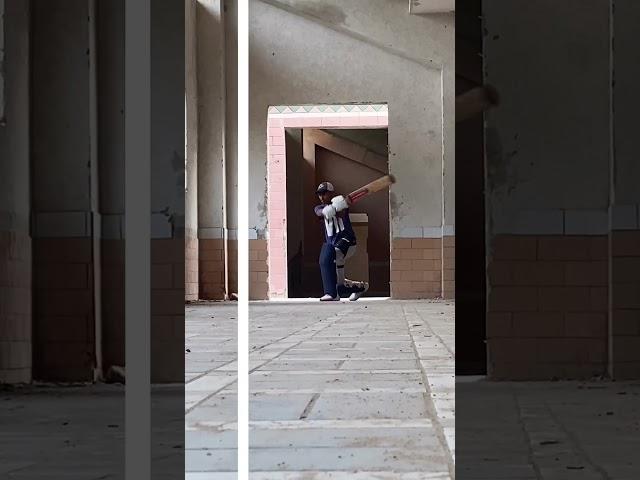Some batting glimpse after office