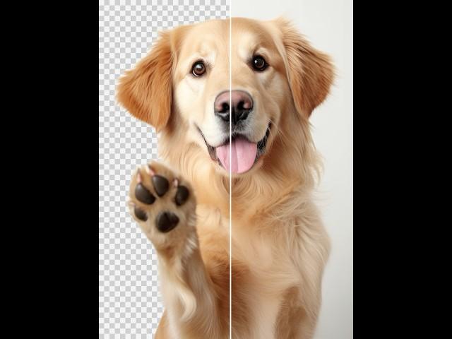 How to Easily Remove Hair & Fur Background with One Click in Photoshop Beta 2025 #ducthangds