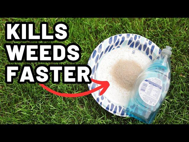 ADD THIS: Best Way to Kill Weeds Quicker without Killing your Lawn