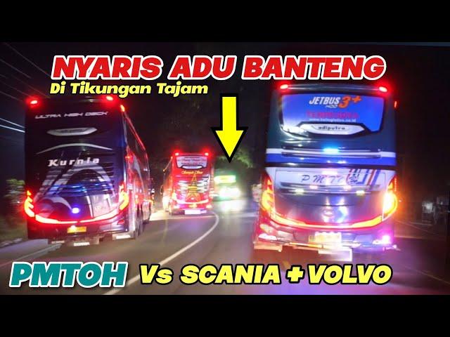 Nyaris Adu Banteng , Nyali Supir Tingkat Dewa, PMTOH Vs VOLVO + SCANIA