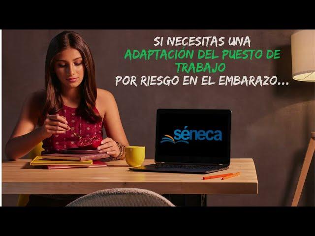 Adaptación del puesto de trabajo por riesgo en el embarazo. Consejería Desarrollo Educativo y FP