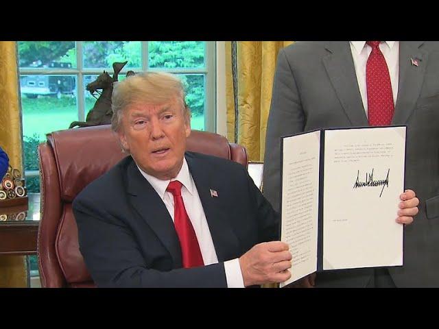 Did backlash to the Trump administration's family separation policy cause the President to revers…