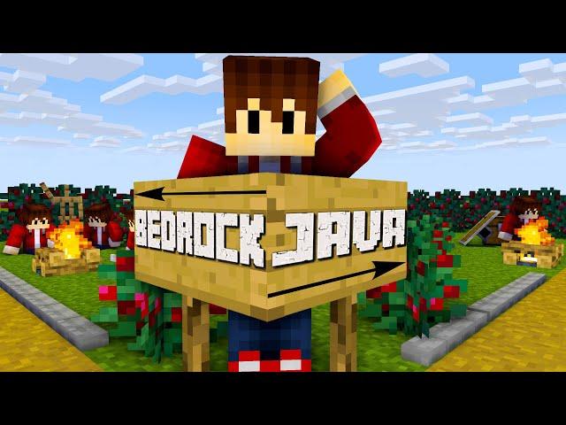 Welche Minecraftversion soll ich kaufen | Minecraft Bedrock oder Minecraft Java ? | LarsLP