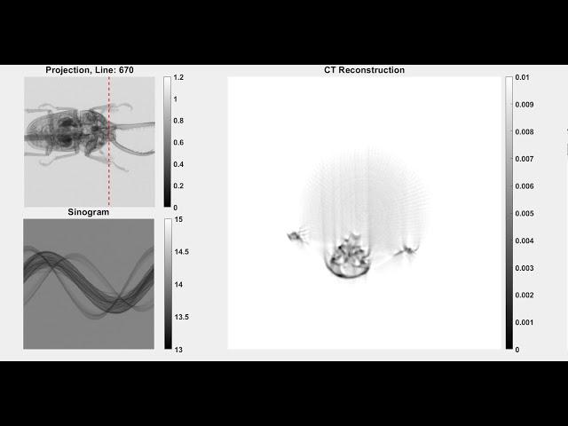 CT reconstruction of an insect 200 rotation steps