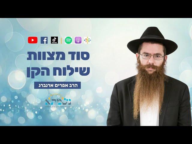 סוד מצוות שילוח הקן | קדושת לוי | הרב אפרים ארנברג