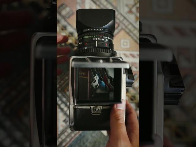 The sounds of a Hasselblad 500cm #filmphotography #hasselblad