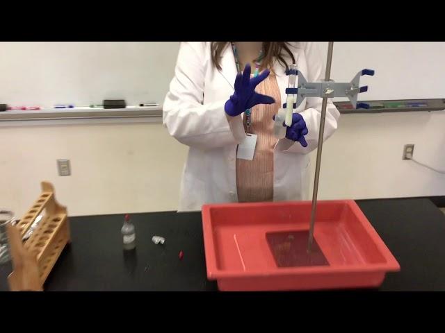 Double-Replacement Reaction Demonstration