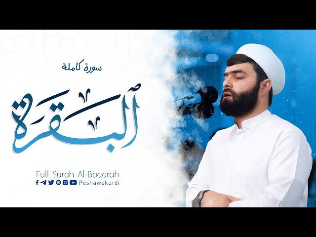 سورة البقرة كاملة للقارئ بيشةوا قادر الكردى #رمضان_2024 -Sourate Al Baqara - Peshawa Al Kurdi