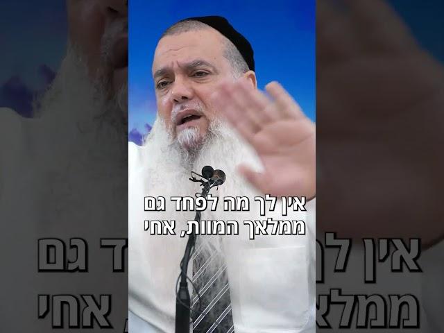 אין פחד בעולם – כי הכול זה בורא עולם!