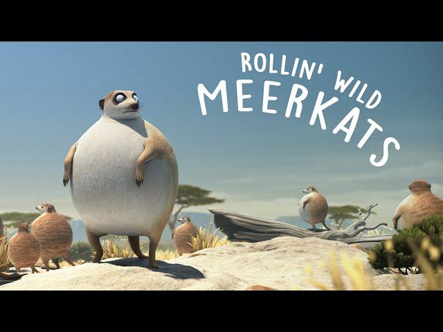 ROLLIN' SAFARI - 'Meerkats' - what if animals were round?