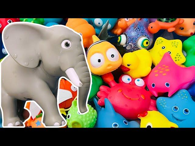 Learn Animal Names and facts, Sea Animals for kids, Sea Animals, Zoo and Farm Animals for toddlers