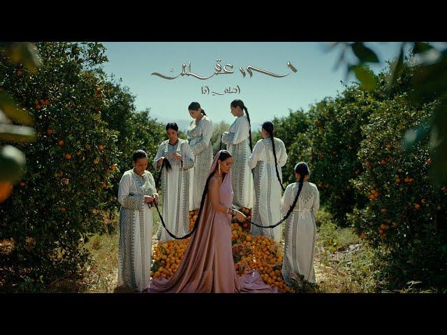 Zeyne - 7arrir 3aqlak / Asli Ana | زين - حرر عقلك / اصلي انا (Official Music Video)