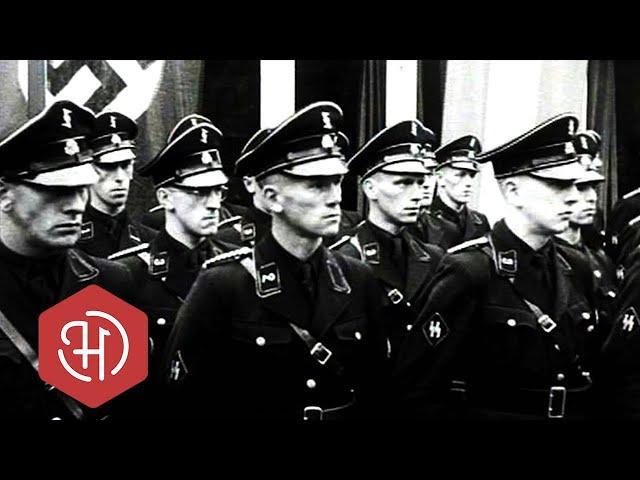 De Nederlandse SS – Henk Feldmeijer en Nederland tijdens de Tweede Wereldoorlog