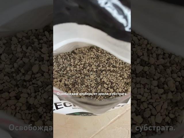 Тг: Валентина Земскова