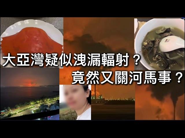 大亞灣疑似洩漏輻射，竟然又關河馬事？#何伯 #何太 #河馬