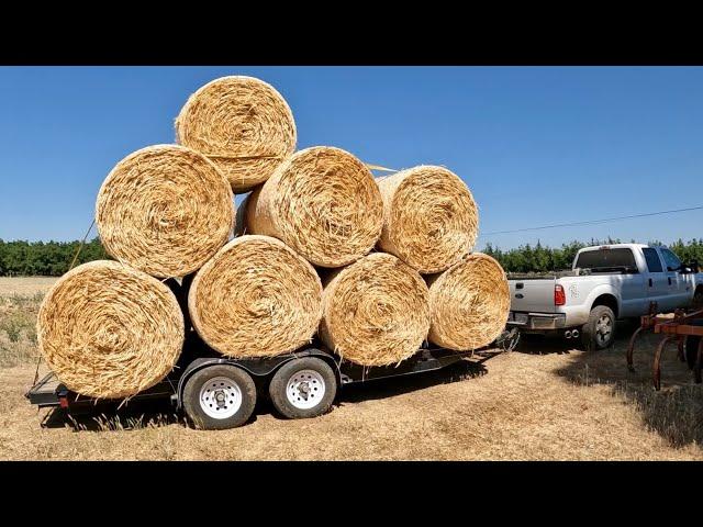 Hay Hauling Day! How Many Bales Will Fit on this Trailer?