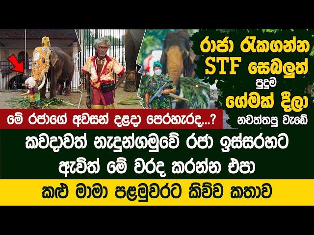 නැදුන්ගමුවේ රජා ඉස්සරහට කැමරා ෆෝන් උස්සගෙන ඇවිත් මේ වරද කරන්න එපා -  Nadungamuwe Raja Dressing