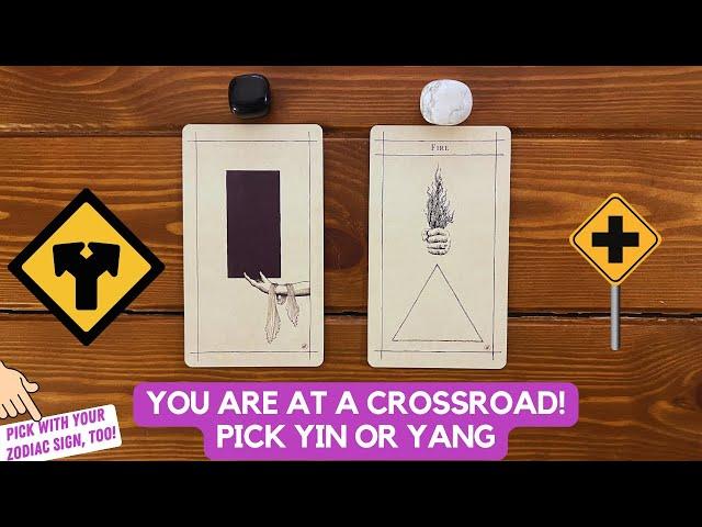 You Are at a Crossroad! Pick Yin or Yang! | Timeless Reading