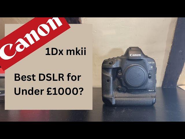 The Canon 1Dx mkii - Best Sub £1000 DSLR?