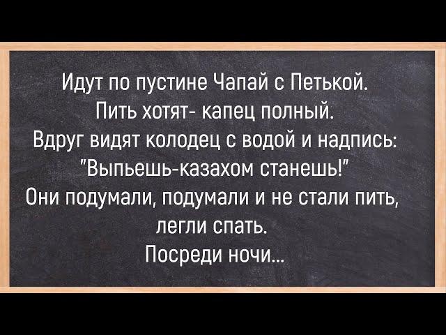 Как Ёжик Пятку Прятал! Сборник Свежих Смешных Анекдотов! Юмор! Позитив!