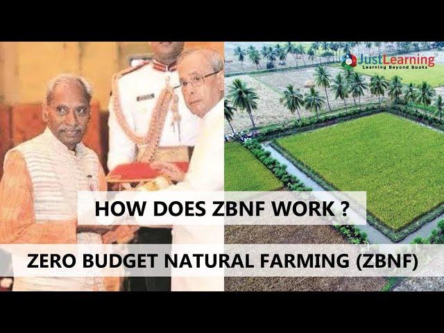 Zero Budget Natural Farming | What is ZBNF? | How Does It Help The farmers | Just Learning