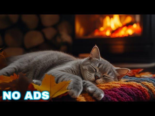 Calming music for Cats  Cozy Autumn Ambience no ads | Cat music for anxiety | Piano cat music