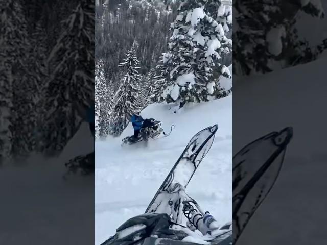 Chute slaying on the Gen 5 #turbo and Polaris #boost  #snowmobile #sendit #deepsnow