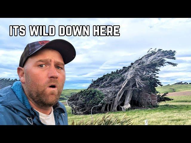 The hardest place to live and camp in New Zealand??? The Southern coast.