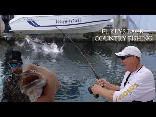 back COUNTRY FISHING in the FL KEYS MANGROVES. so much FISH we didn't have to leave the DOCK!