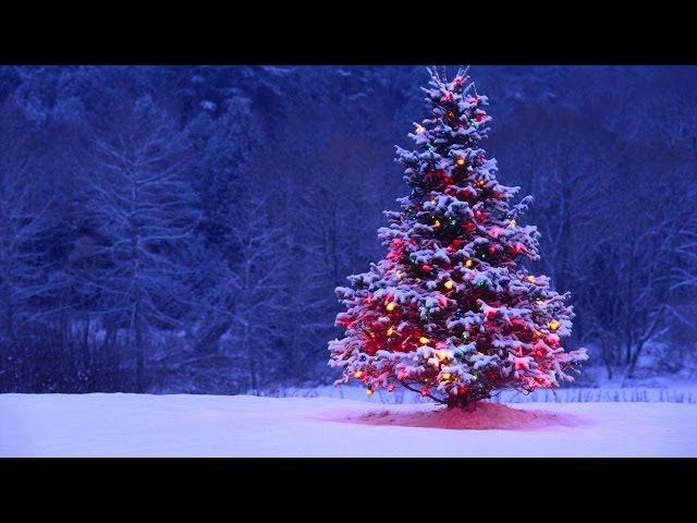 EmbraceElectric Christmas Special