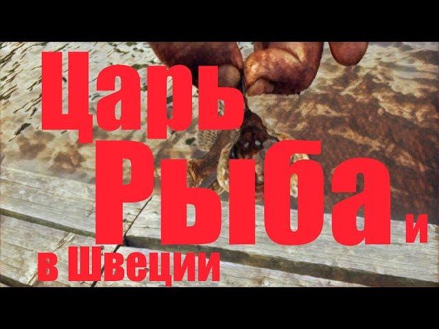 Рыбалка Швеция! Начинаем осваивать кормушку !