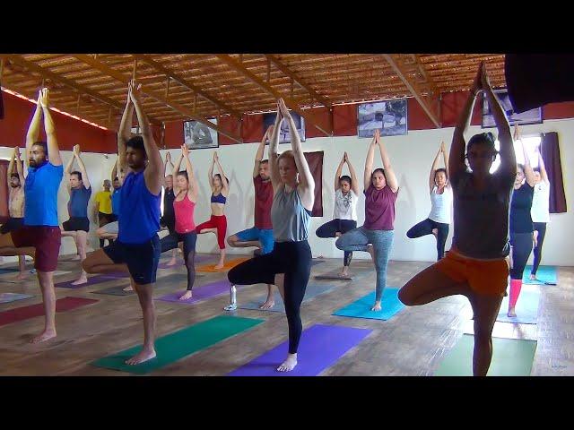 Hatha Yoga Preparatory series | Yoga for everyday | Beginners Yoga class for holistic health