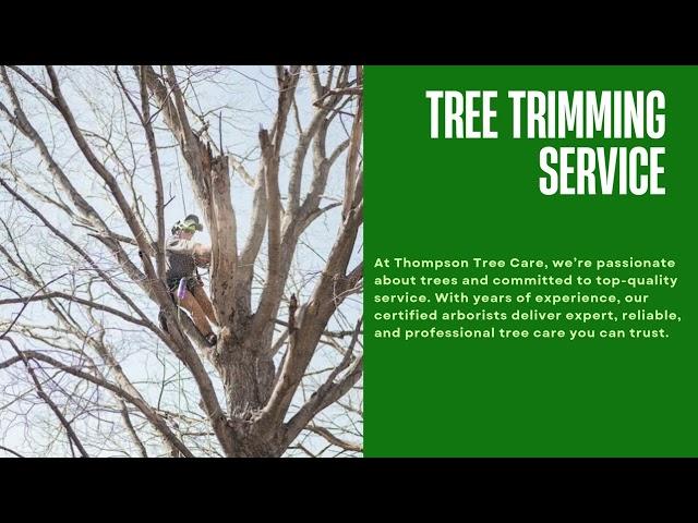 Top Rated Tree Service in Central Illinois | Thompson Tree Care | (217) 673-0282