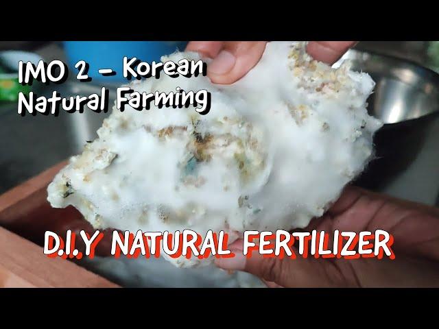 Indigenous Microorganism 2 (IMO 2) | Cheap Effective Natural Fertilizer | KNF