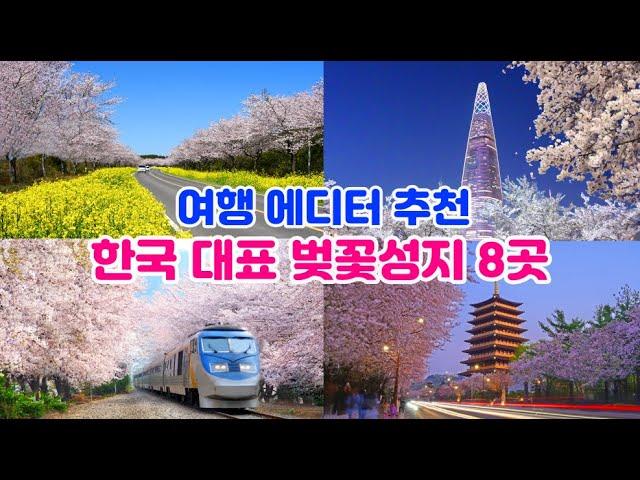 [한국 대표 벚꽃명소 8곳] 진해·하동·경주·서울·제주·도·부산·대구·합천 - 이중에서 고르세요 그래야 후회 없습니다.