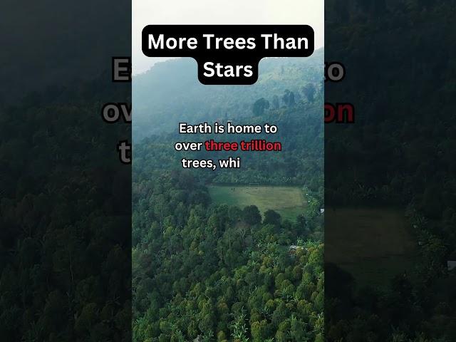 Unbelievable Fact: More Trees on Earth than Stars in the Milky Way! #didyouknow #foryou #facts