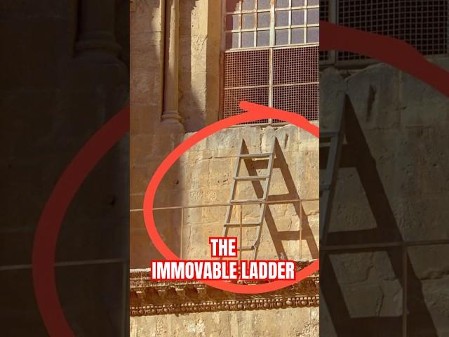 A 256 years old wooden ladder that could start a war? #jerusalem #history #historyfacts #shorts
