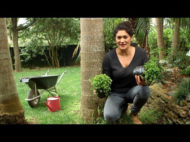 Using native ground cover in your garden