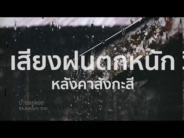 เสียงฝนตกหนักๆ หลังคาสังกะสี เสียงฝนตกฟ้าร้อง กล่อมนอน ไม่มีโฆษณาคั่น