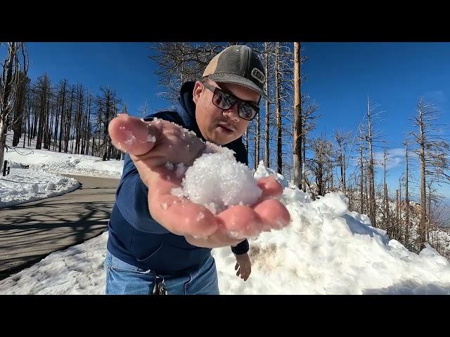 SNOW IN MT. LEMMON 2024 | TUCSON, AZ, USA | JOPHENX VLOG