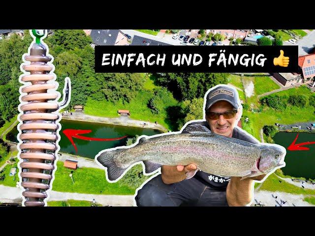 Dieser Köder wird UNTERSCHÄTZT beim FORELLENANGELN  | Angeln mit Gummifisch - das Erfolgsrezept!