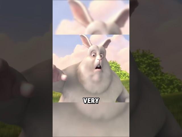 The big buck bunny 