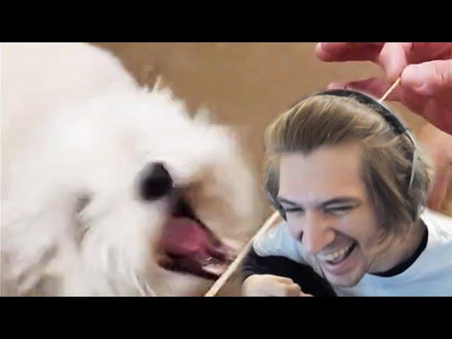 xQc Reacts to UNUSUAL MEMES COMPILATION V129