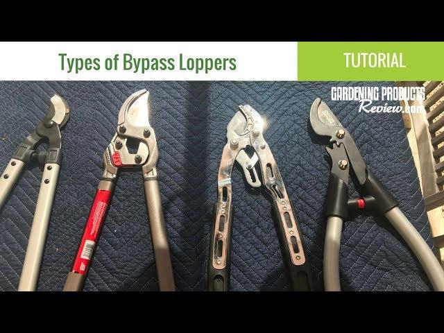 Types of Bypass Loppers: What's the Difference Between Ratcheting, Geared & Compound Loppers?