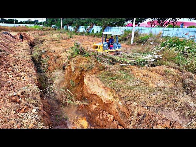 Perfect Technical!!! To Bury & Clearing Land - D41P Dozer KOMAT'SU Push The Forest Into The Box Pit