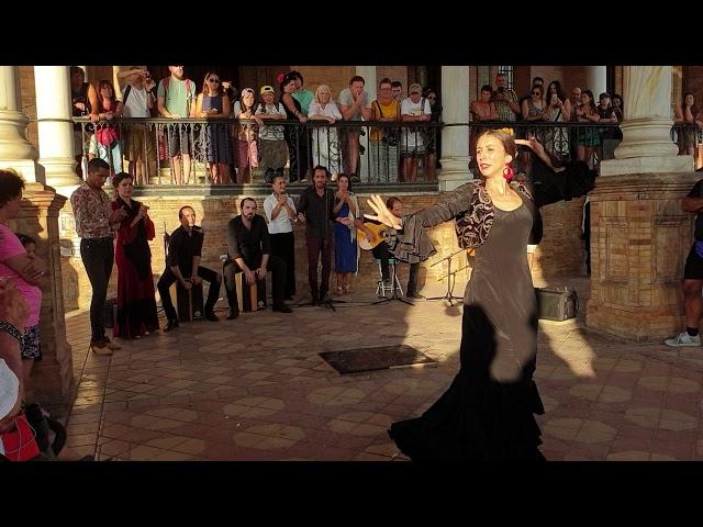 Flamenco dance group in Plaza de España Sevilla, September 2019